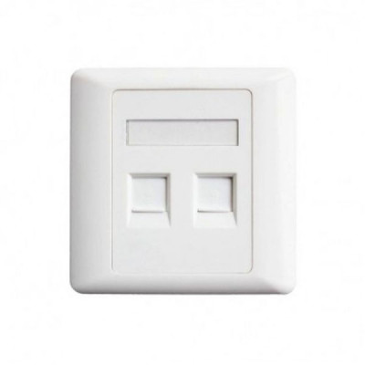 image of Belden AX104442 Dual Port Face Plate  with Spec and Price in BDT