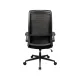 Cougar Stryder Black Ergonomic Gaming Chair
