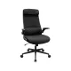 Cougar Stryder Black Ergonomic Gaming Chair