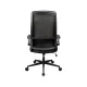 Cougar Stryder Gray Ergonomic Gaming Chair