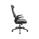 Cougar Stryder Gray Ergonomic Gaming Chair