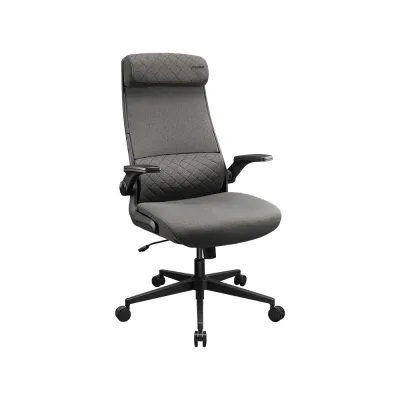 image of Cougar Stryder Gray Ergonomic Gaming Chair with Spec and Price in BDT