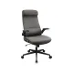 Cougar Stryder Gray Ergonomic Gaming Chair