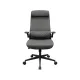 Cougar Stryder Gray Ergonomic Gaming Chair
