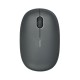 Rapoo M650 Multi-mode Wireless Mouse