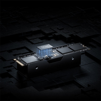image of Lexar Professional NM1090 1TB M.2 NVMe PCIe Gen 5 SSD with Heatsink with Spec and Price in BDT